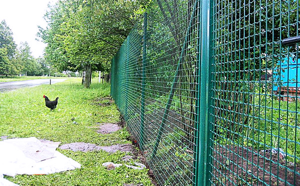 養(yǎng)殖護(hù)欄網(wǎng) 養(yǎng)殖護(hù)欄網(wǎng)